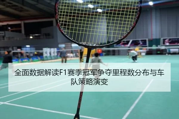 全面数据解读F1赛季冠军争夺里程数分布与车队策略演变